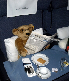 Bear Catching up on reading