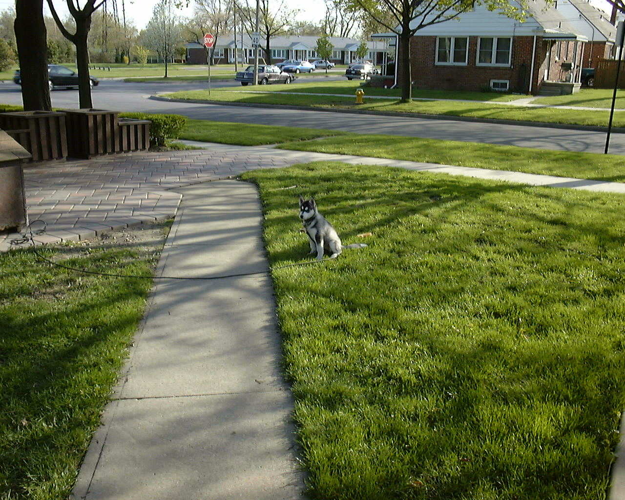 26-Apr-2001