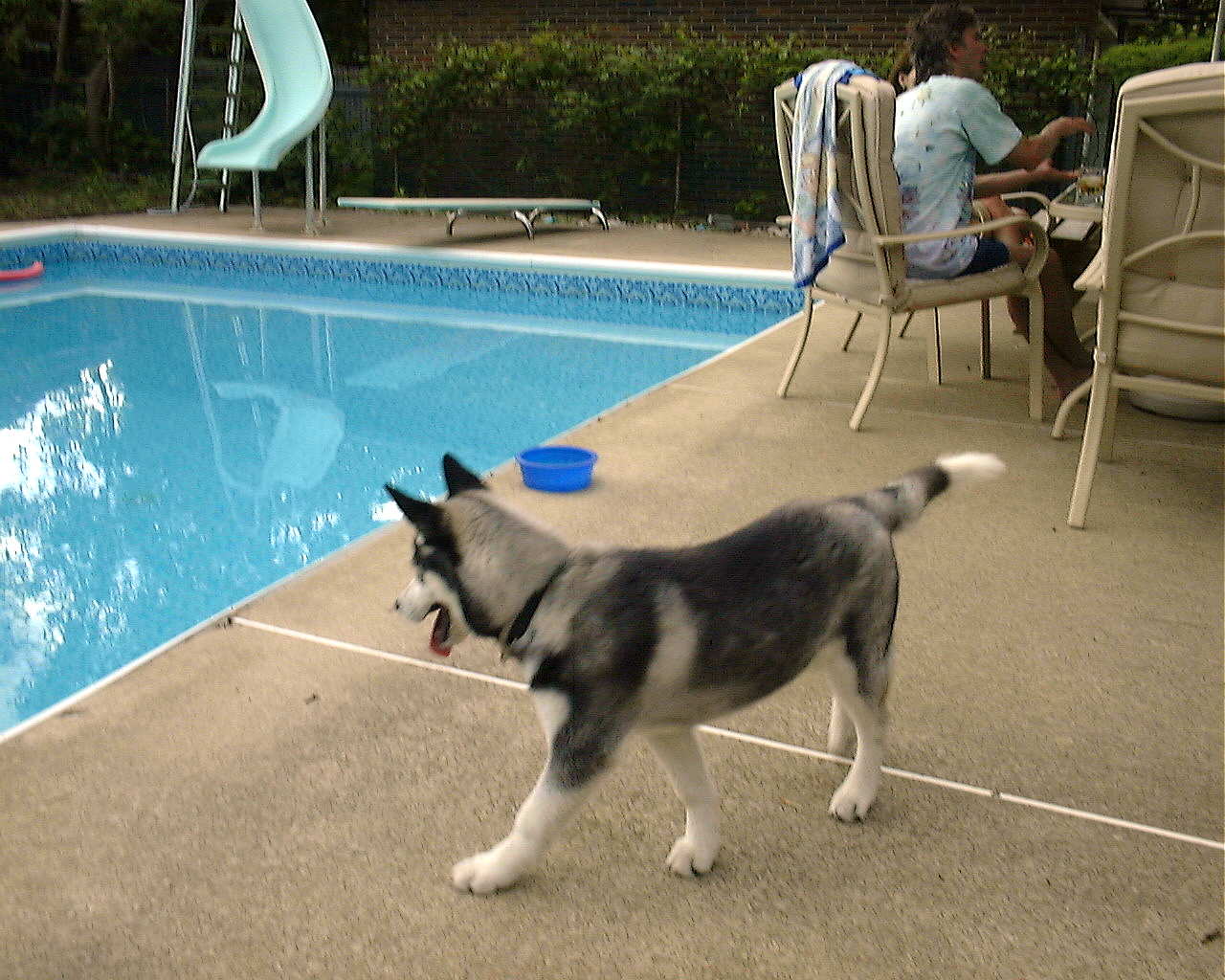 first royal swim party