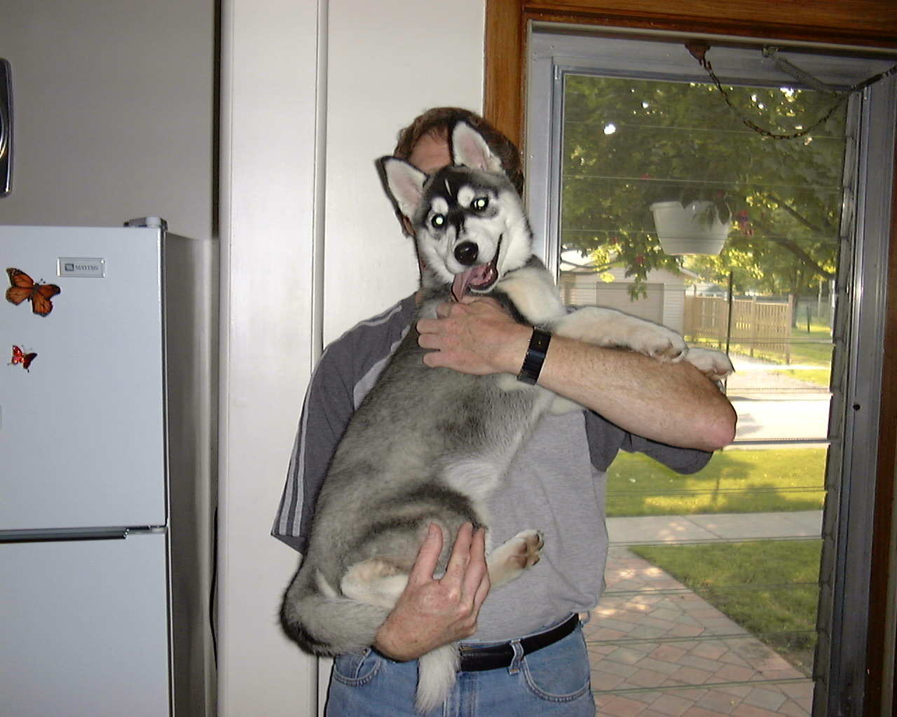 Husky Lift