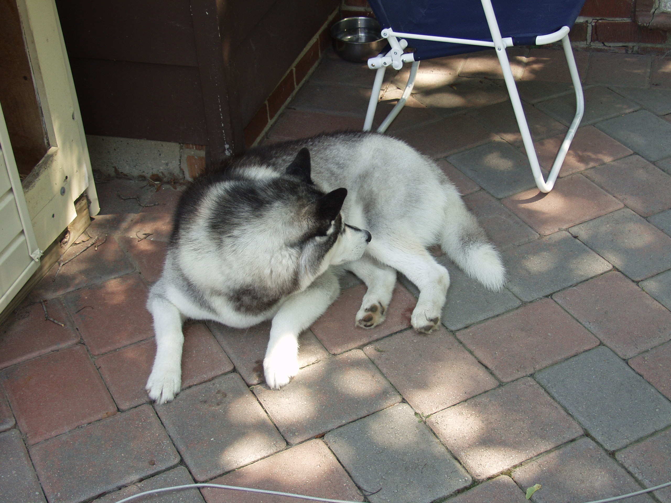 aug 2004